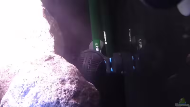 2x Absaugung, 1x Düsenrohr, Tunze von Malawi_Einsteiger (17)