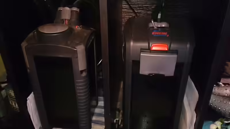 2x EHEIM Außenfilter von Florian Suft (10)