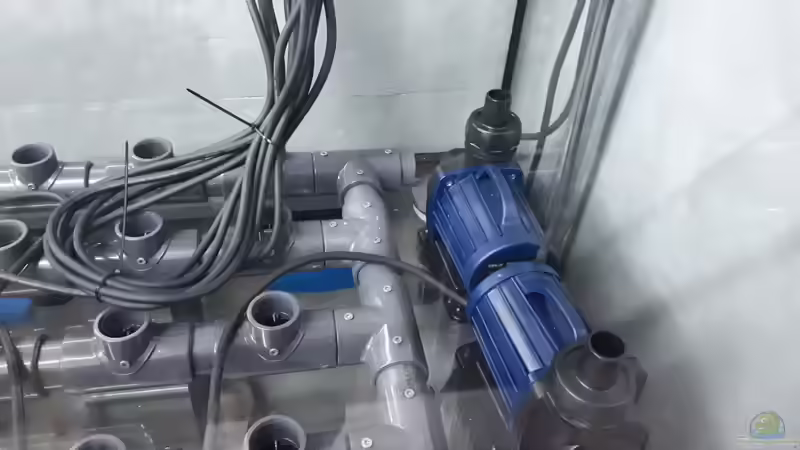 2x Filterpumpe von 8 CBM (55)