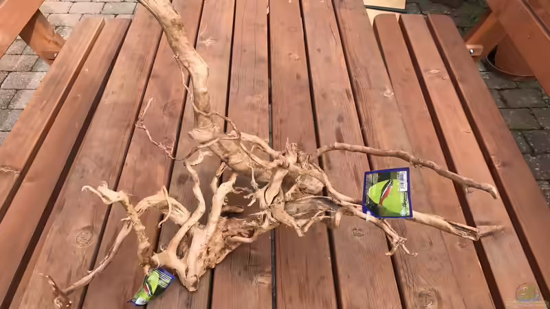 2x Fingerwood groß  von Raven887 (13)