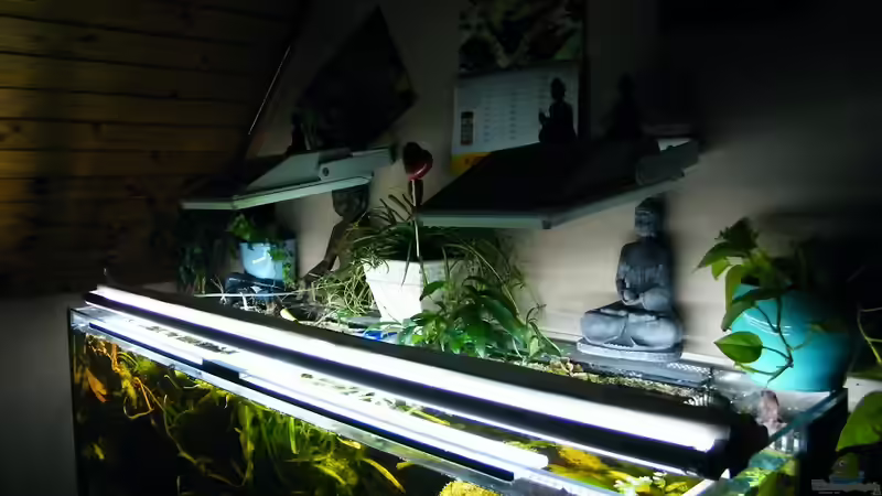 2x HQI 150 W + 2x150cm LED Leuchtstoffröhren mit 450 LED von Diskus-Freak®aka Benny&Anja (36)