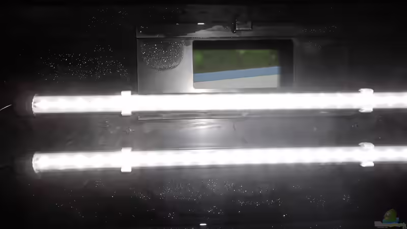 2X Juwel-NovoLux LED von odin 68 (114)