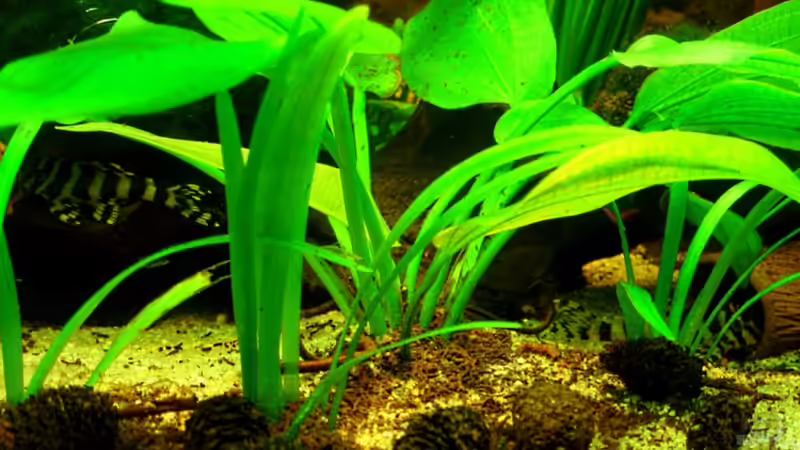 2x L134 19.12.10 von ~Marco~ (71)