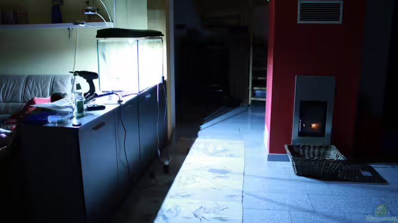 2x20 Watt LED, fast zu hell... von kon_nichiwa (2)