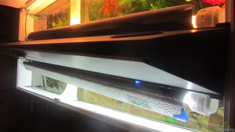 2xT5 45 Watt - vorne Daylight hinten special plant von Mofafi-Liebhaber (61)