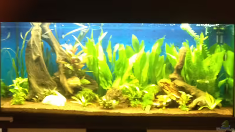 3.. von Tobiaschwilly (4)