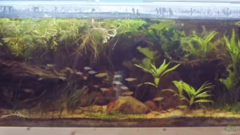 3. Gesamtansicht von Sebastian.. (6)