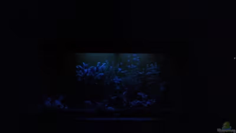 3. Stufe der Nachtschaltung (Mondlicht) von BaniW (6)