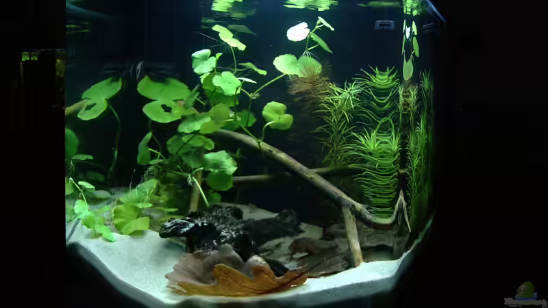 3. Tag von Mario74 (3)