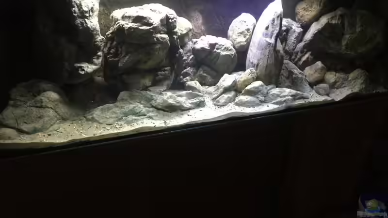 3. Versuch von Lippi (10)