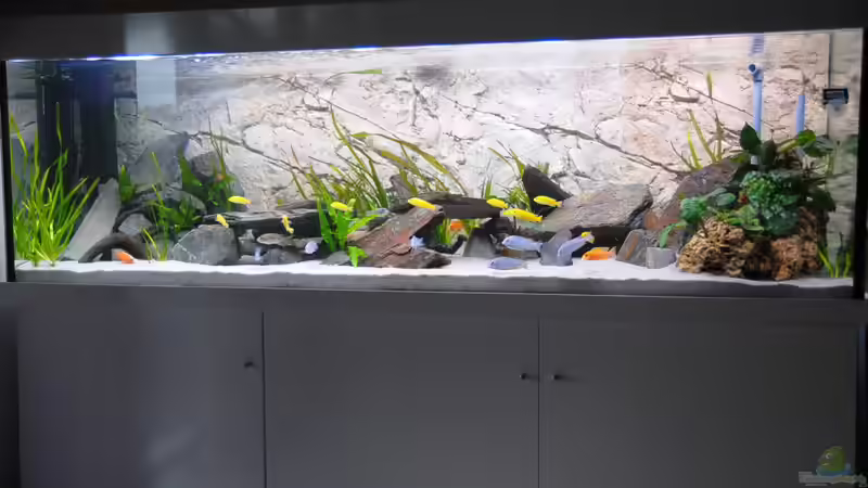 3. von Wolfgang Ihlo (13)