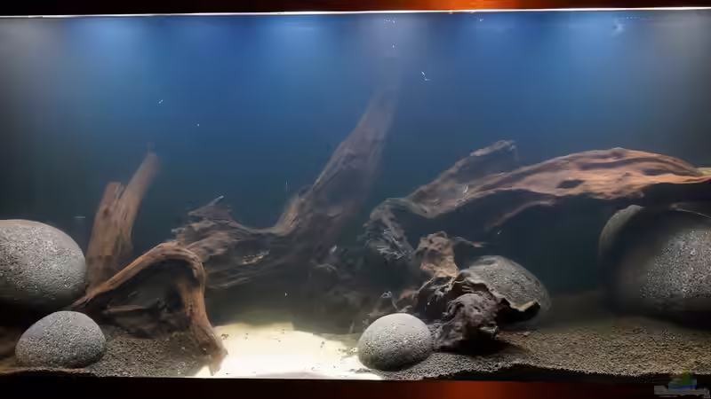 3. Woche Wasserwechsel in Dunkel-Einfahrphase von PEM (2)