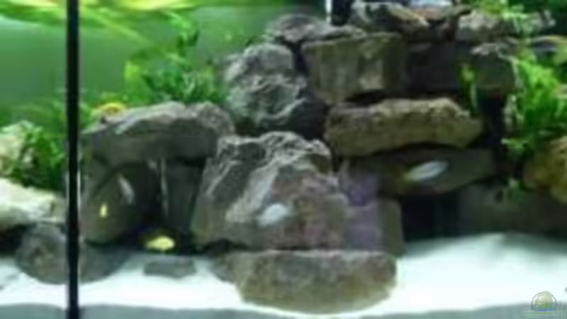 3.1.2010 Ansicht von vorne von Mats (21)