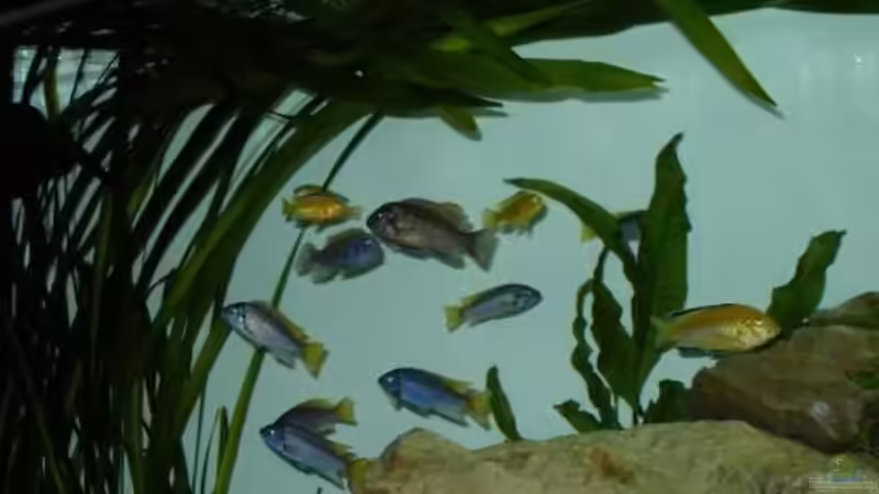 3.1.2010 von Mats (56)