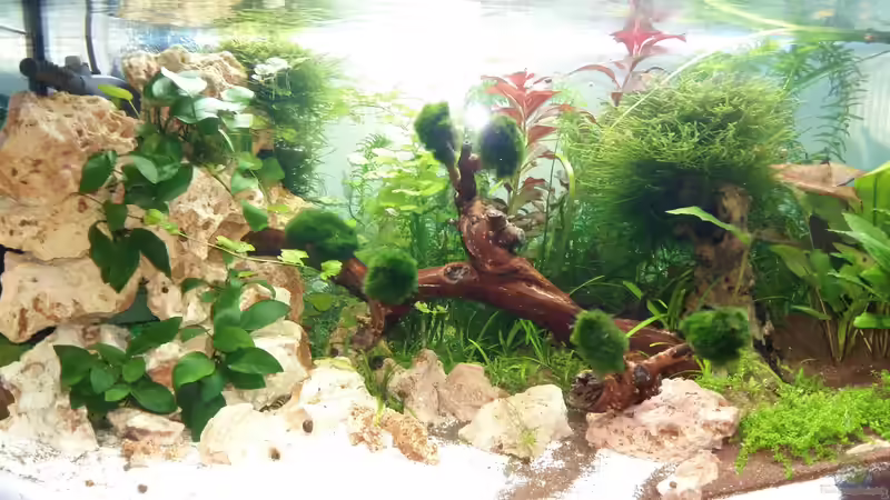 3.11 von Spawngrow (10)