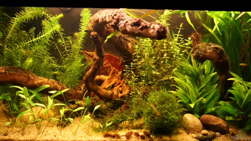 3.6.12 Gesamtansicht von Andrea Rüter (2)