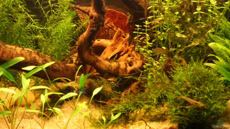 3.6.12 Mitte von Andrea Rüter (4)