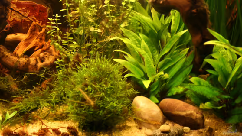 3.6.12 rechte Seite von Andrea Rüter (3)