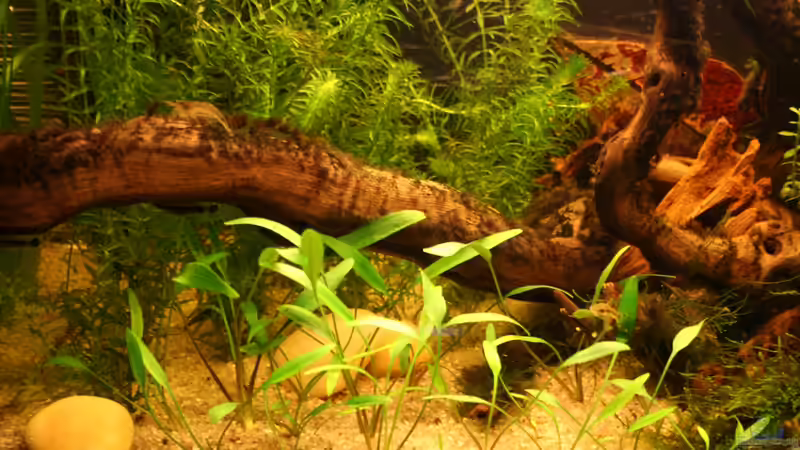 3.6.12 rechte Seite von Andrea Rüter (5)