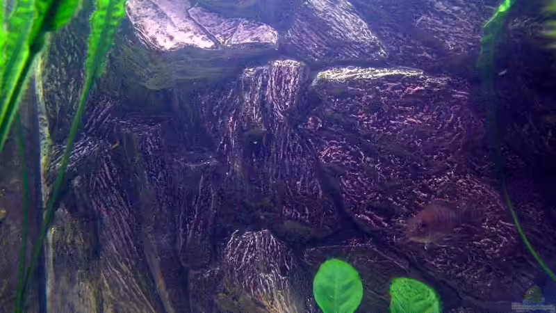 3-D Rückwand einfach eine Hammergeile Optik von Ricardo Kisker (7)