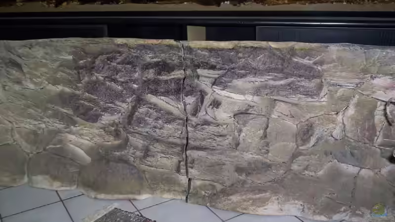 3 D Rückwand von Didi (35)