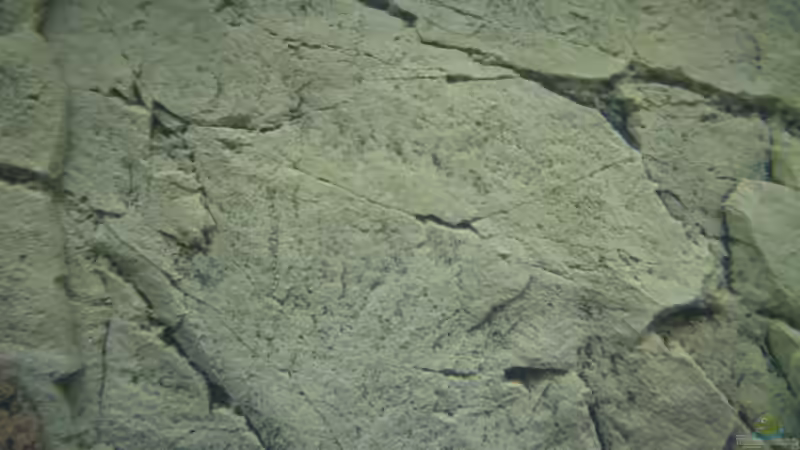 3-D Slim Line Rückwand Struktur von Kai Verholen (4)