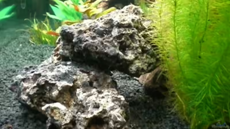 3 einzel Lavasteine zusammen gesetzt als Höhle von Dennis und Katha (10)