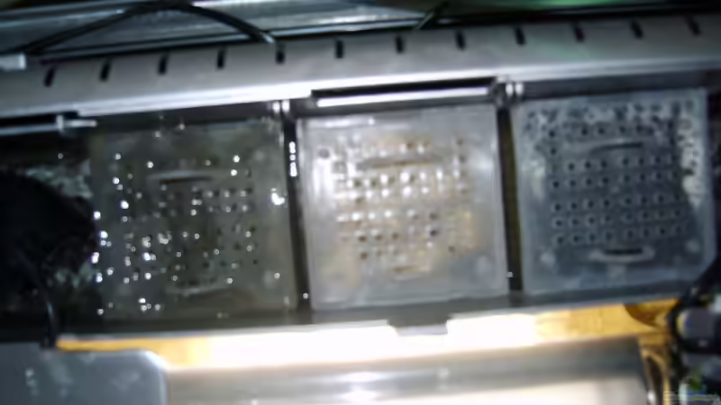 3 Filterkammern des Innenfilters im Deckel von oben von Matthias Söldner (4)