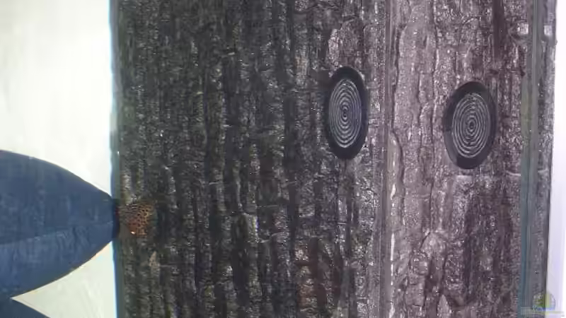 3 Kammer Bio Innenfilter mir Strömungspumpe und Juwel verkleidung von Costa Reichl (5)