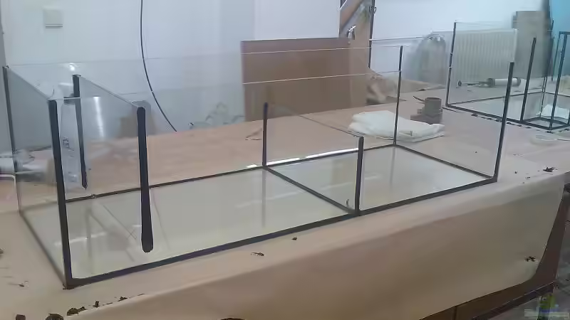 3 Kammer Biofilter von Crenii (23)