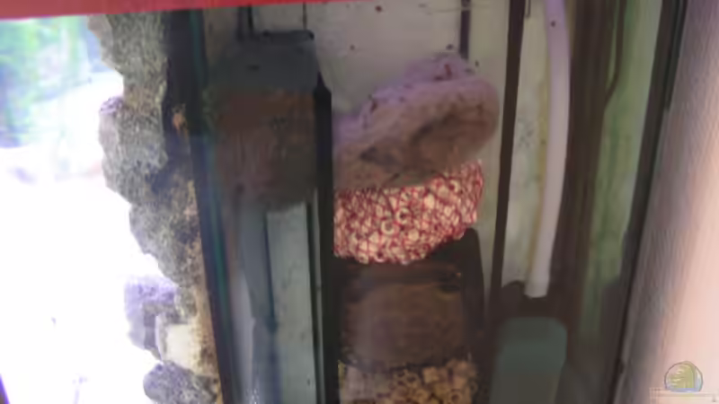 3-Kammer Filter, bestückt von Peter Hübner (6)