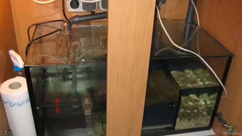 3-Kammer-Filterbecken von Britta Schneider (5)