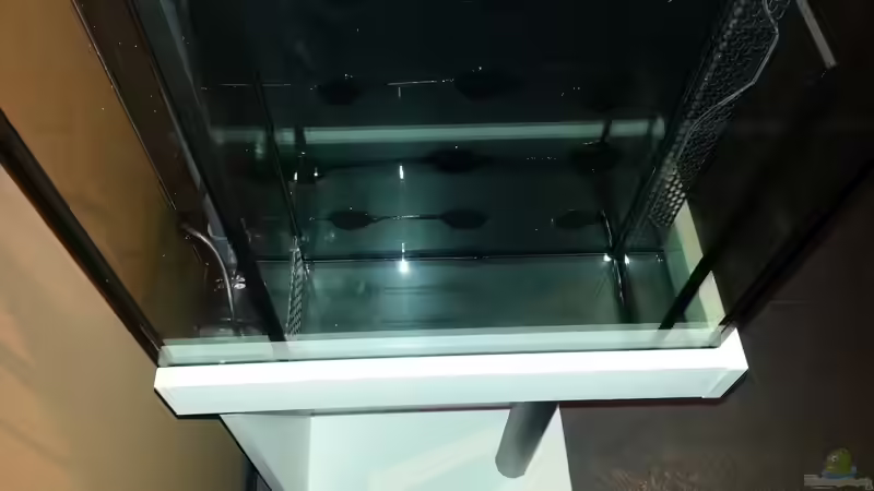 3 Kammer Innenfilter! Bietet viel Platz für mechanische und biologische Filterung von ~MISCHA WILKEN~ (17)