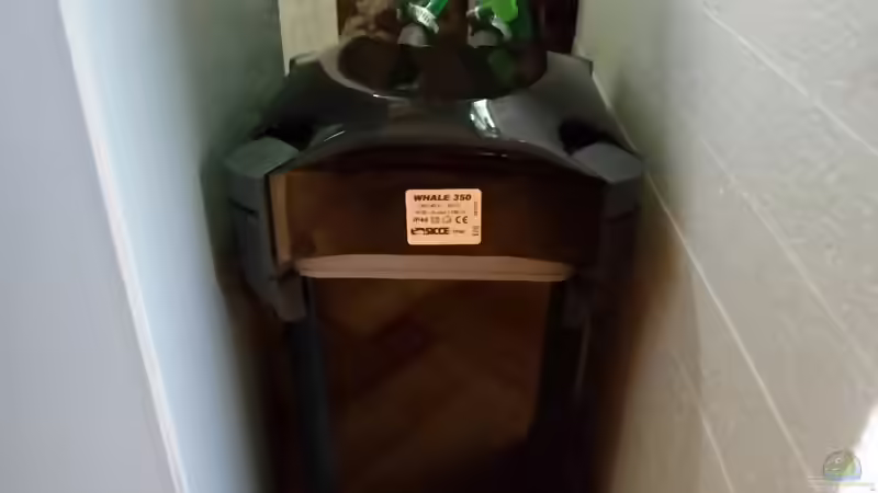 3 Kammern Aussenfilter Whale 350 von Bernd N. (23)