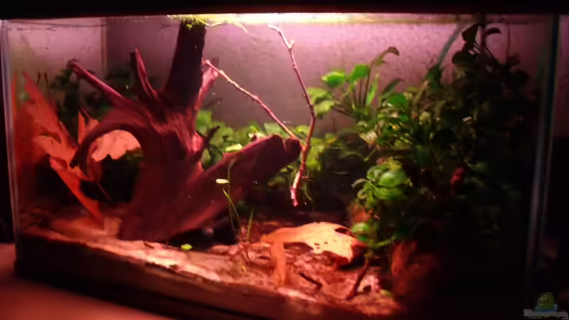 3 Layout im 3ten Jahr von PH Neutral (4)