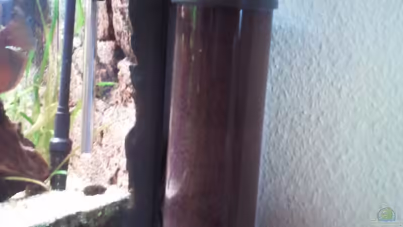 3 Liter Nitrat/Phosphat Filter von Don Jupp (20)