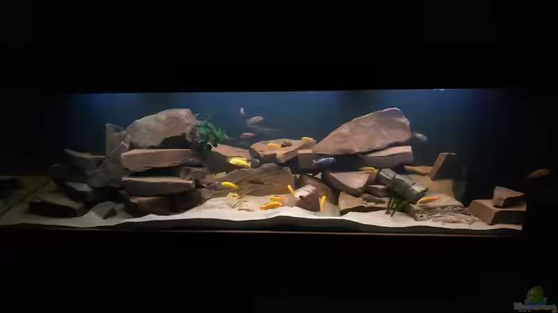 3 m Grabensee von Tim Gleichmann (1)