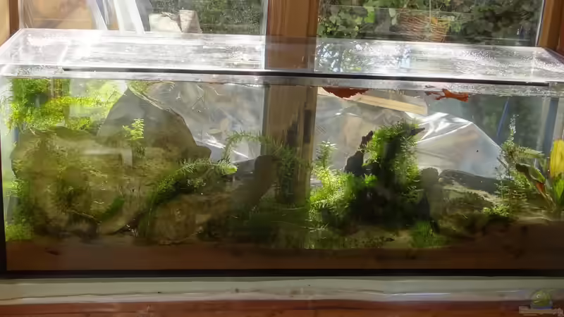 3 Monate - November  von paris (6)