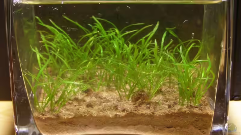 3 Monate später von redcherry (3)