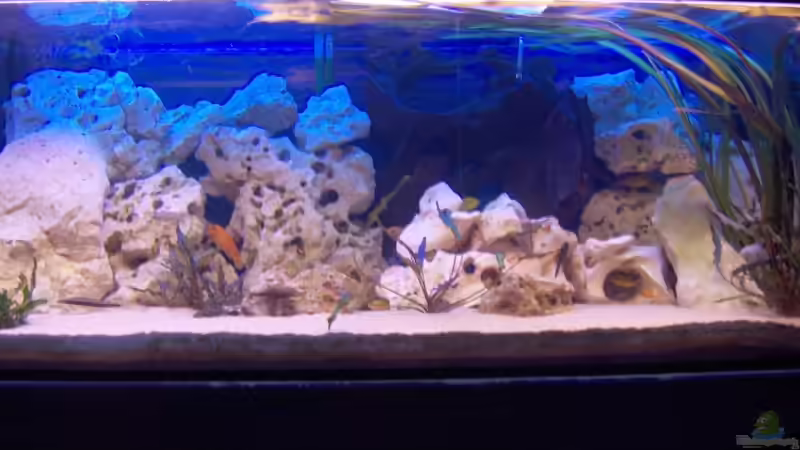 3.o5 2004 von Marcel Lüthi (2)