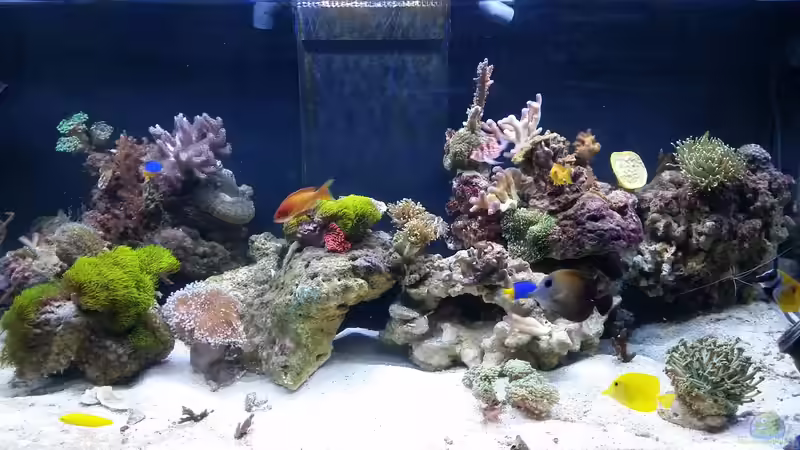 3 Tage nach dem Besatz (Umzug) von Tim1979 (27)