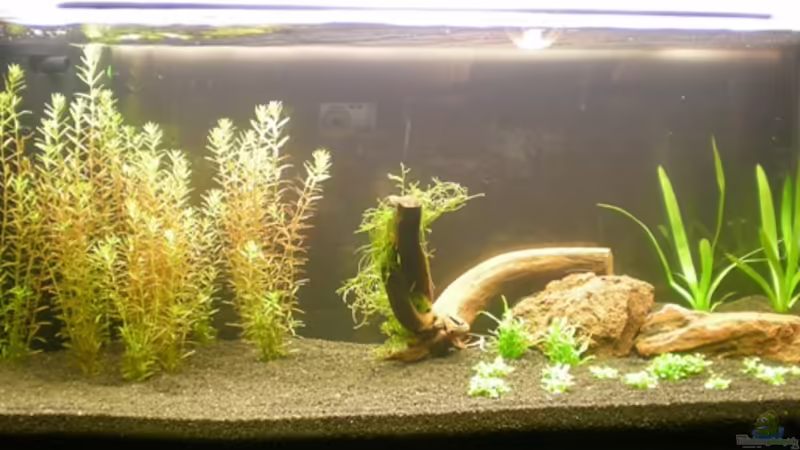 3 Tage nach dem Neueinrichten von emarks