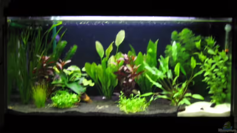 3 Tage nach Einrichtung von -Marcel- (3)