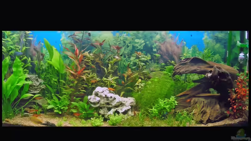 3 von Alexander Schilke (7)