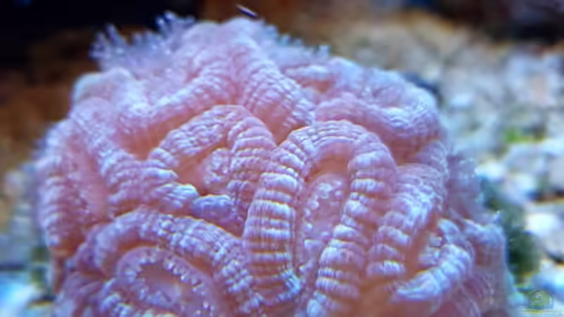 3 von Artur Wegert (7)