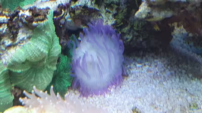 3 von Jens Berthold (11)