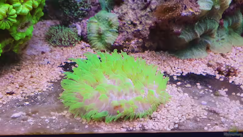 3 von Jens Berthold (8)