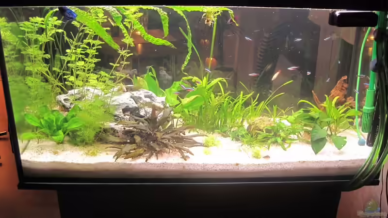 3 von KleinUndKräftig (3)