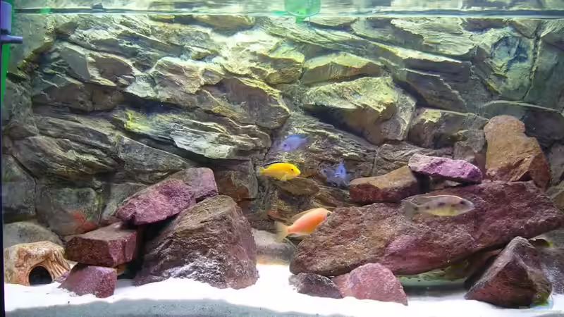 3 von Michael Fischer (4)