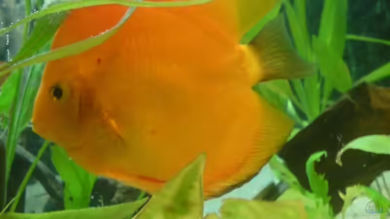 3 von Michael Seidel (9)